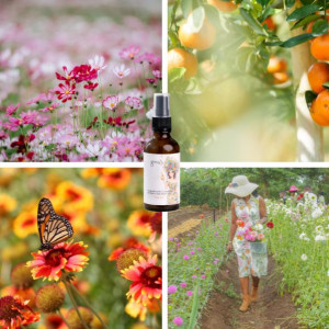 Pomladni naravni sprej za prostor Flower Garden